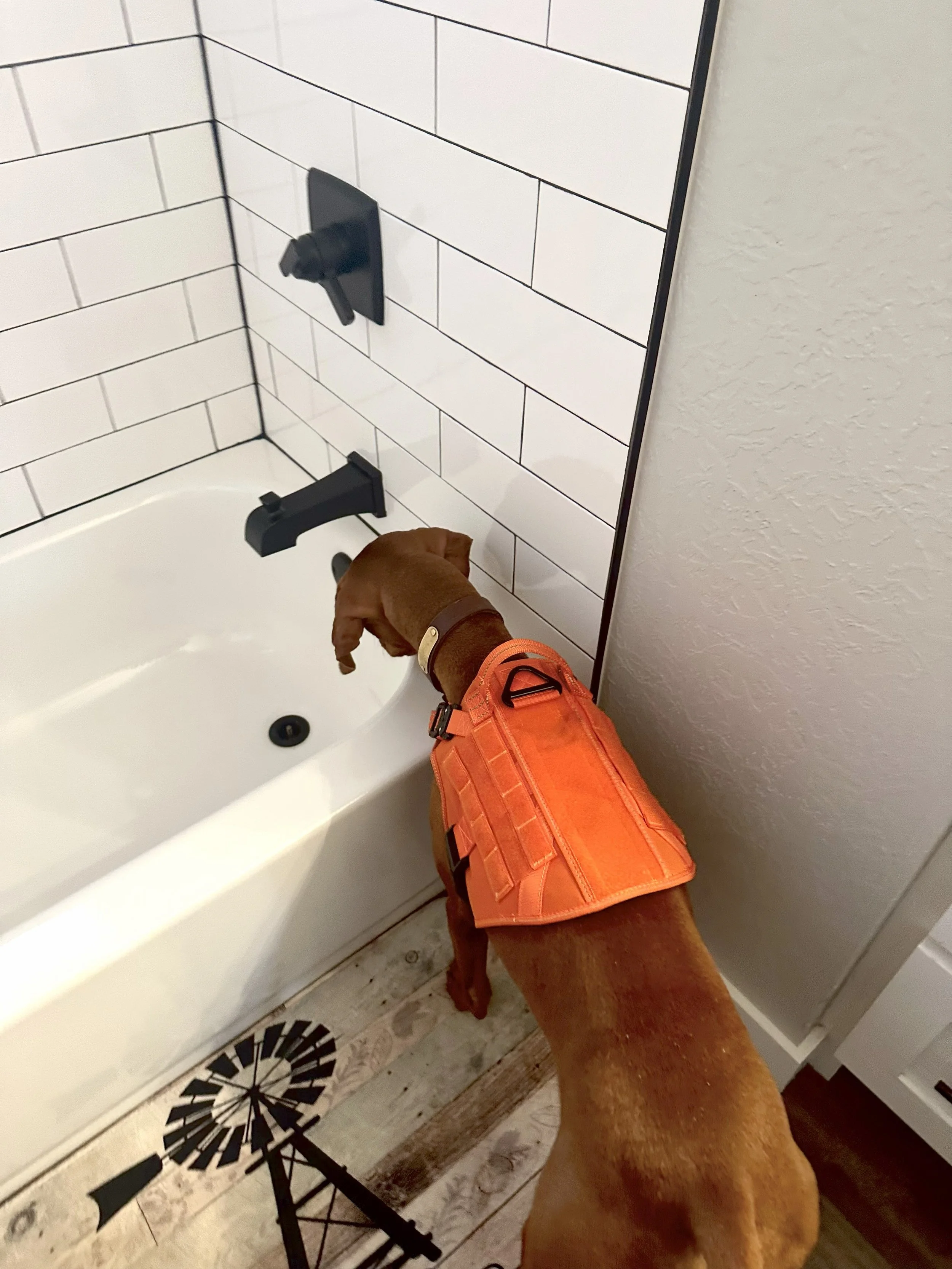 On Point K9 Inspections