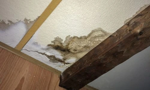 Water Intrusion Behind Walls